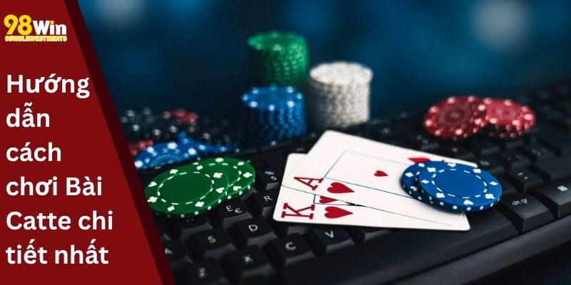 Luật chơi Bài Catte cơ bản cho người mới