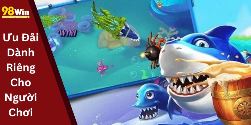 Ưu Đãi Dành Riêng Cho Người Chơi