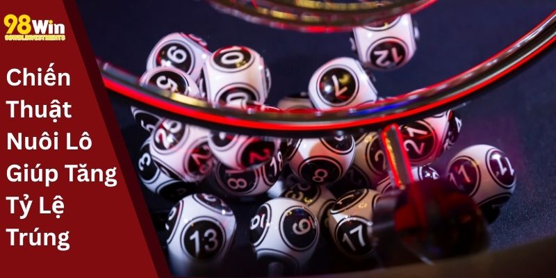 Chiến Thuật Nuôi Lô Giúp Tăng Tỷ Lệ Trúng